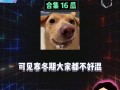 娱乐八卦吃瓜群