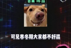娱乐八卦吃瓜群