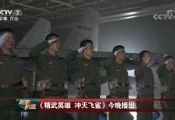 飞行员老婆爆料事件视频,揭秘空中飞行的真实一面