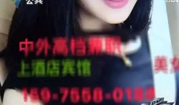 李小姐爆料网红视频大全,网红视频大全背后的秘密与真相