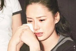 吃瓜明星网红圈微博,明星网红微博圈层风云录