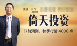 金融爆料叶飞简介视频大全,视频大全背后的精彩故事