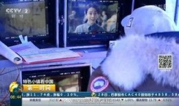 央3直播在线观看,实时掌握精彩瞬间，在线观看无障碍体验