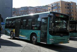 美国新闻爆料大连公交车,美国新闻揭露惊人真相