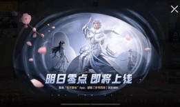 吃鸡爆料兰博视频大全集,视频大全集深度解析