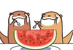 娱乐吃瓜号会不会侵权,如何规避侵权风险