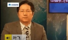 金融爆料叶飞简介视频大全,视频大全背后的精彩故事