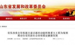 大连大事件爆料最新消息,揭秘重大进展与幕后真相