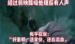 长春阿诚爆料事件视频完整版,揭秘背后真相与争议