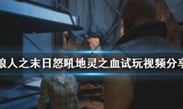 狼人在线观看视频,揭秘神秘夜晚的生存游戏