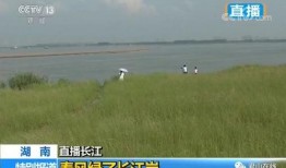 卫视直播在线观看华龙,华龙频道精彩内容一览无遗