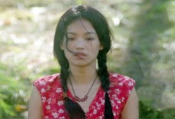 在线观看舒淇,光影交织下的魅力女神