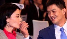 李亚鹏王菲最新爆料,揭秘他们的爱情故事与生活点滴