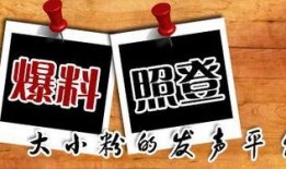 重庆如何在网上爆料新闻,网络直击新闻现场