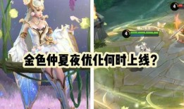 仲夏夜假爆料事件视频,揭秘视频背后的真相与争议