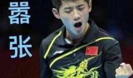 网红爆料张继科视频,网红爆料引发热议