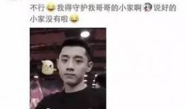 网红爆料张继科视频,网红爆料引发热议