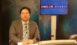 金融爆料叶飞简介视频大全,视频大全背后的精彩故事