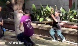 小孩哥爆料视频,一窥娱乐圈幕后真相