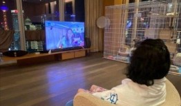 华姿酒店爆料事件视频播放,揭秘酒店内部惊人真相