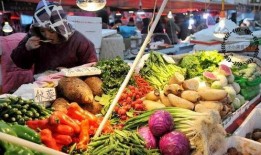 娱乐吃瓜酱买菜视频下载,美食生活两不误