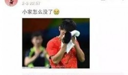 网红爆料张继科视频,网红爆料引发热议