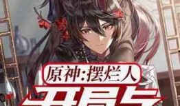 原神女仆爆料视频大全集,揭秘游戏幕后精彩瞬间