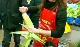 娱乐吃瓜酱买菜视频下载,美食生活两不误