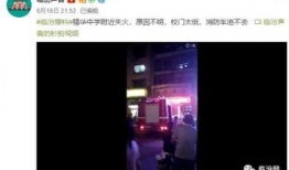 一个爆料贴的视频叫什么,揭秘爆料贴背后的惊人真相