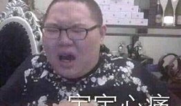 小孩哥爆料视频,一窥娱乐圈幕后真相