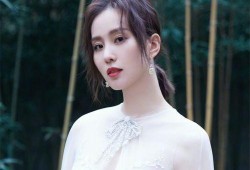 刘诗诗爆料肖战视频大全,视频大全揭秘