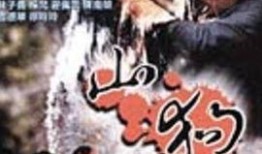 山狗1999在线观看,热血青春，激战江湖