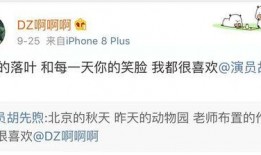 明星爆料文案视频,揭秘幕后的真实故事